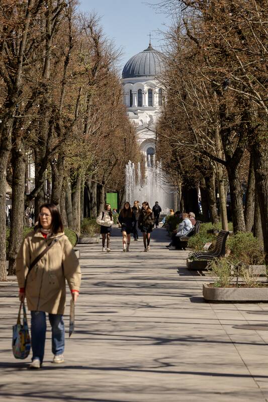 Kauniečių diena (2026-04-21)