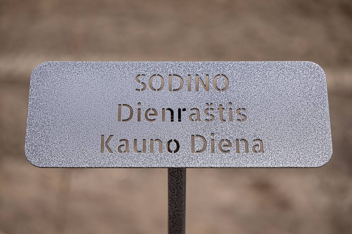 V. Adamkaus ąžuolyno sodinimas