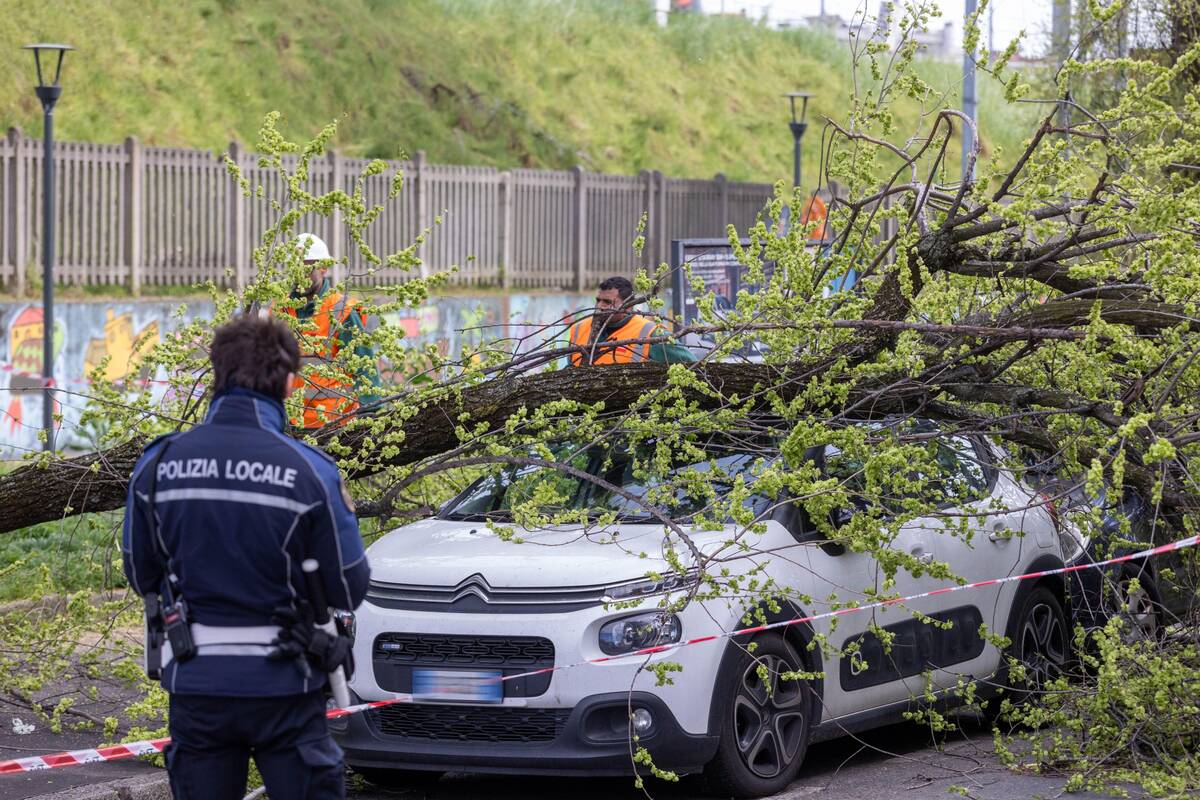 
<span>Stiprūs vėjai Italijoje nusinešė dviejų žmonių gyvybes</span>
