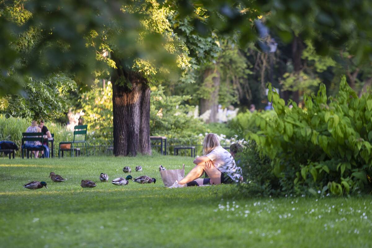 
<span>Sinoptikai įspėja dėl savaitgalio orų: pasiruoškite dvigubam scenarijui</span>

