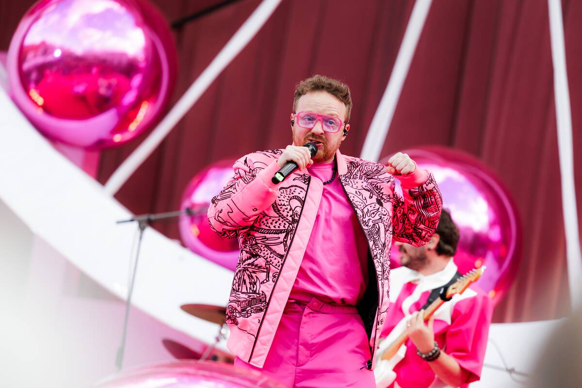 Šaltibarščių festivalio Vilniuje atidarymas