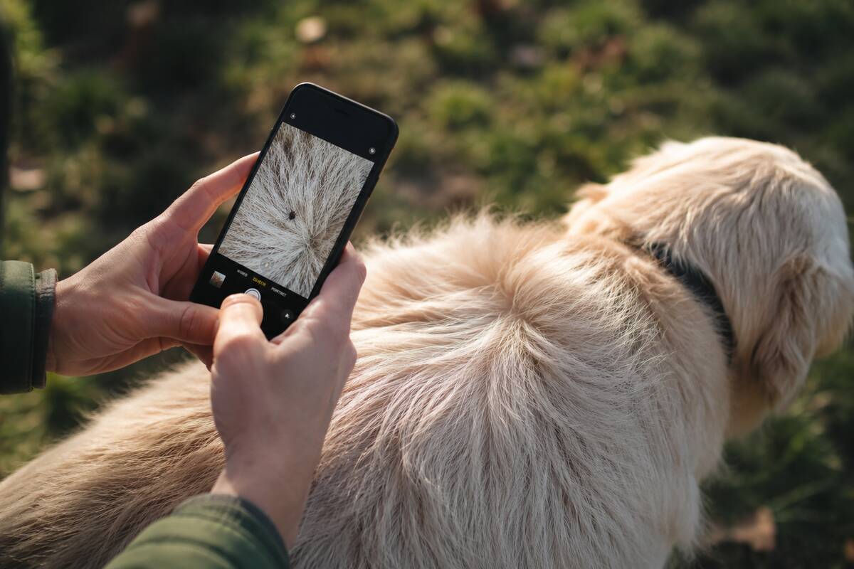 
<span>Šį triuką su telefonu turėtų žinoti visi naminių gyvūnų šeimininkai</span>
