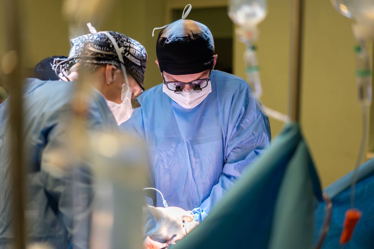 Kepenų transplantacija