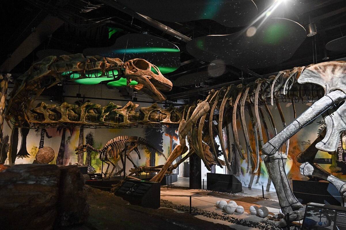
<span>Tailande atpažintas didžiausias Pietryčių Azijos dinozauras</span>
