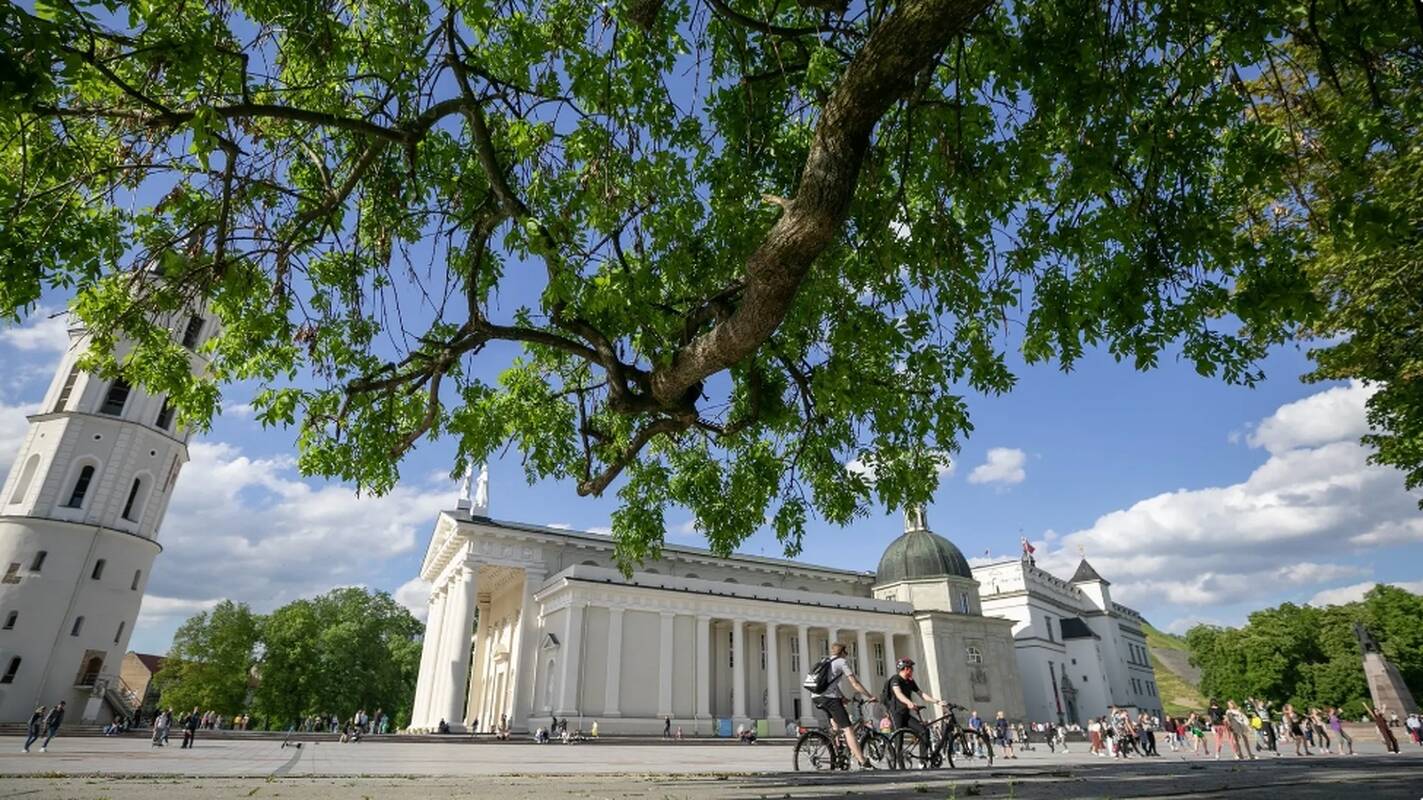 
<span>Vilniuje dar dvidešimt tūkstančių saugomų medžių nustatyta didesnė atkuriamoji vertė</span>
