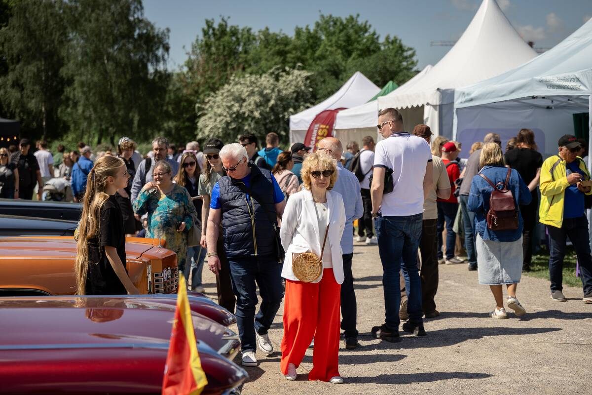 Klasikinių automobilių paroda prie Kauno pilies