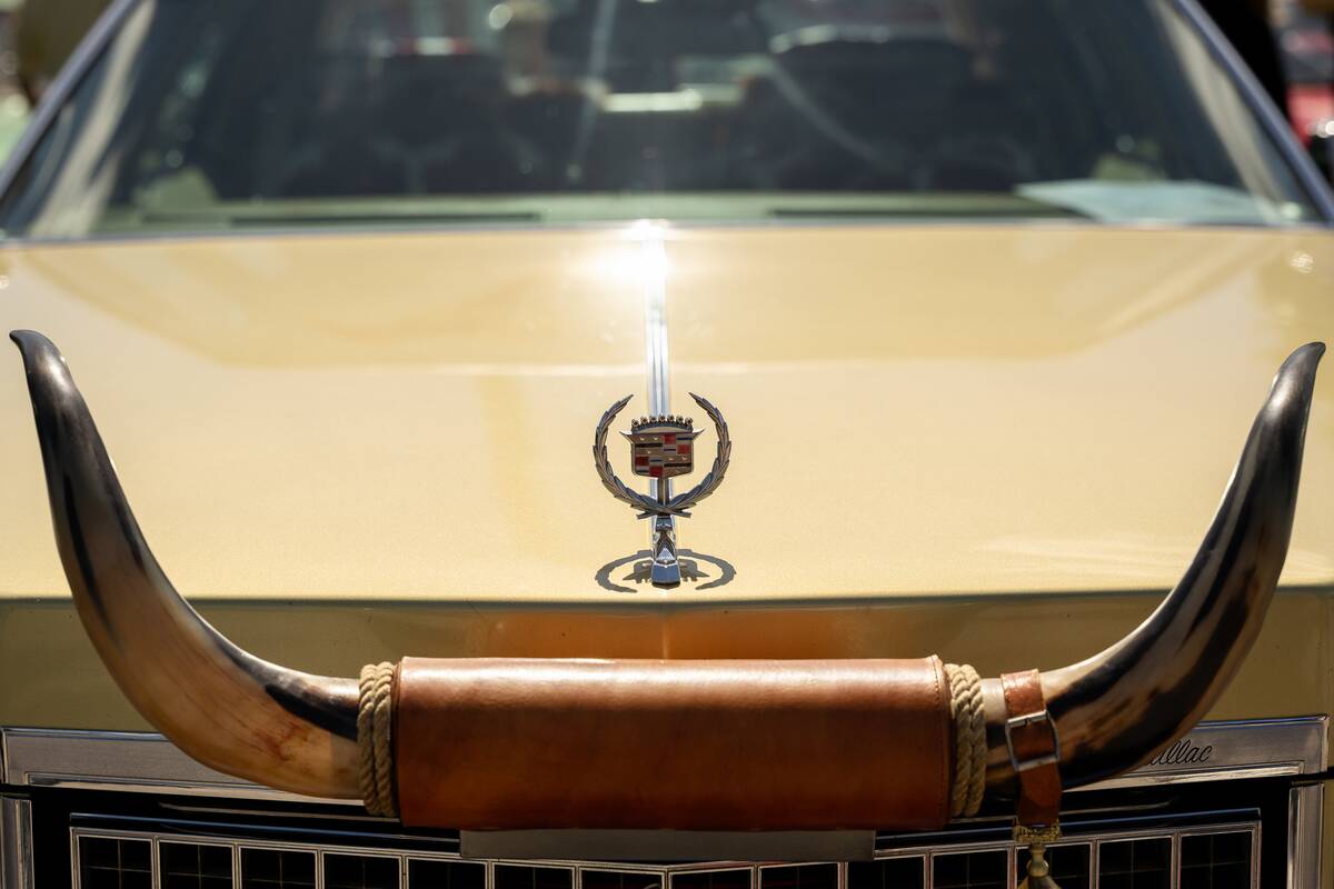 Klasikinių automobilių paroda prie Kauno pilies