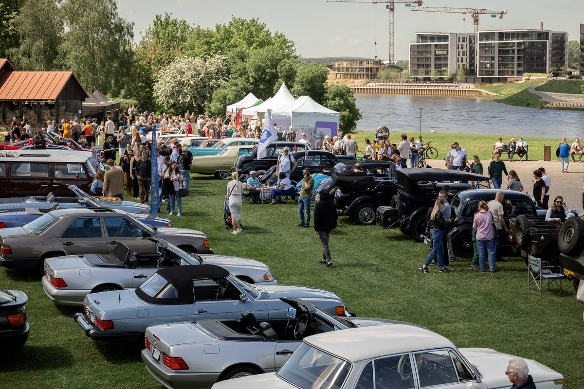 Klasikinių automobilių paroda prie Kauno pilies