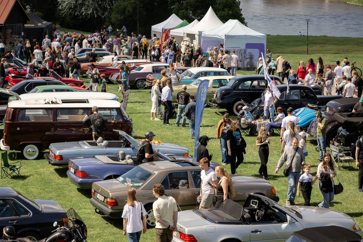 Klasikinių automobilių paroda prie Kauno pilies