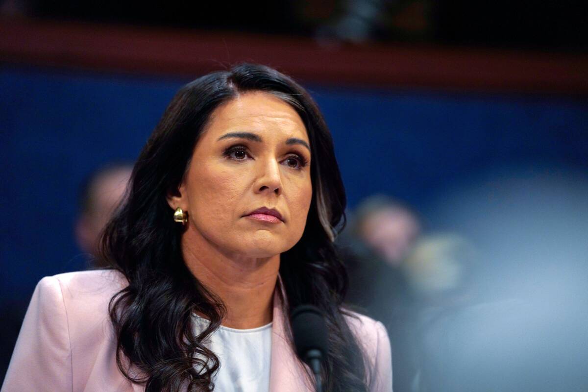 Tulsi Gabbard