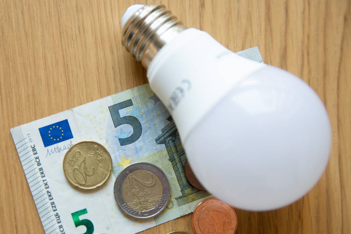
<span>„Litgrid“: dėl išaugusios vietos gamybos praėjusią savaitę elektros kaina mažėjo 11 proc.</span>

