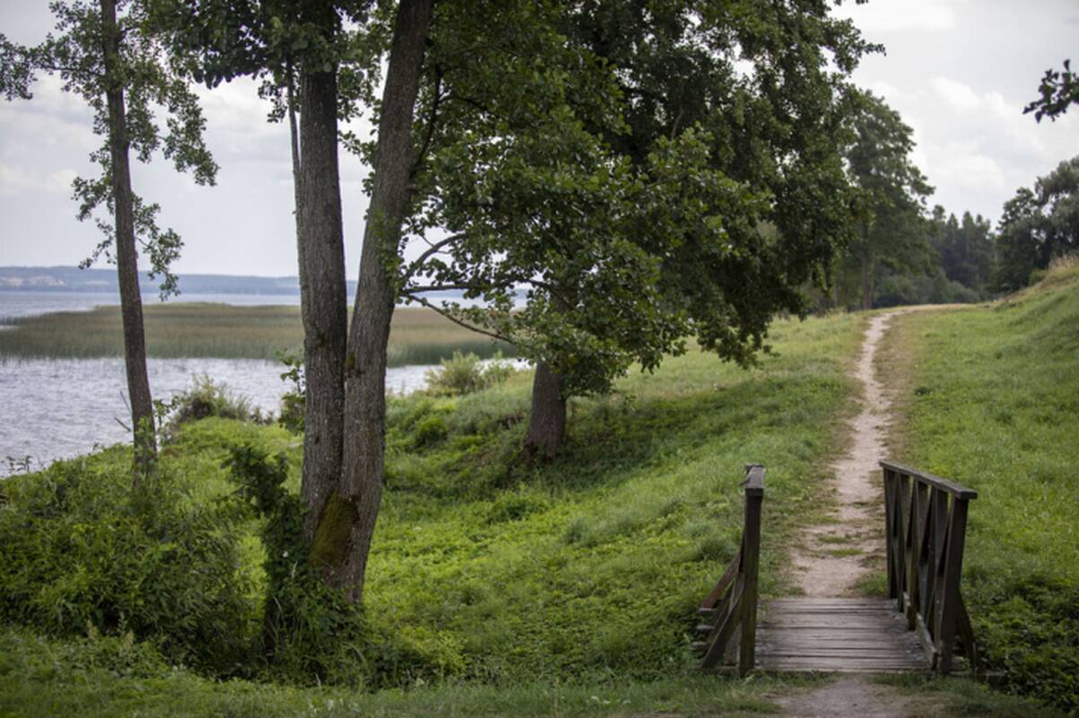 
<span>Metelių regioniniame parke bus apgyvendintos retos rūšies auksavabalio lervos</span>
