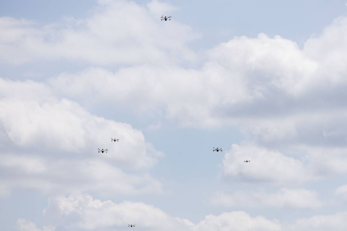 Tarptautinės pratybos „Laisvės skydas“