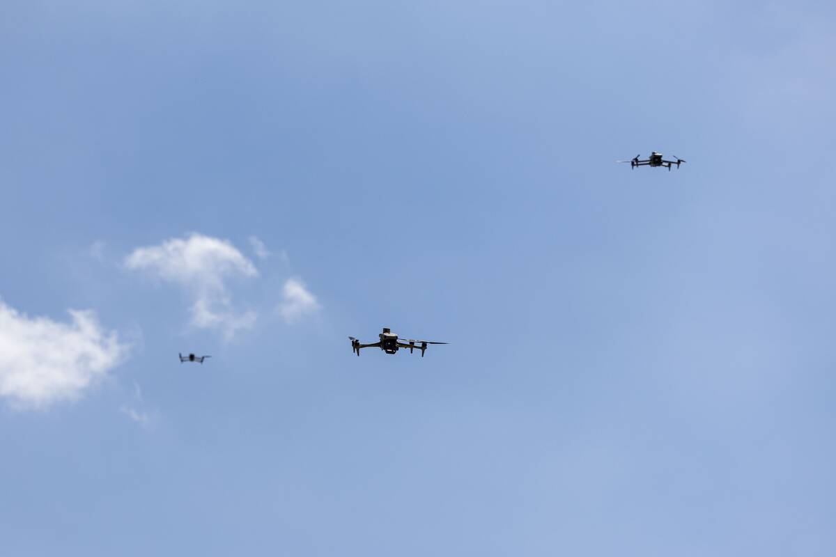 Tarptautinės pratybos „Laisvės skydas“