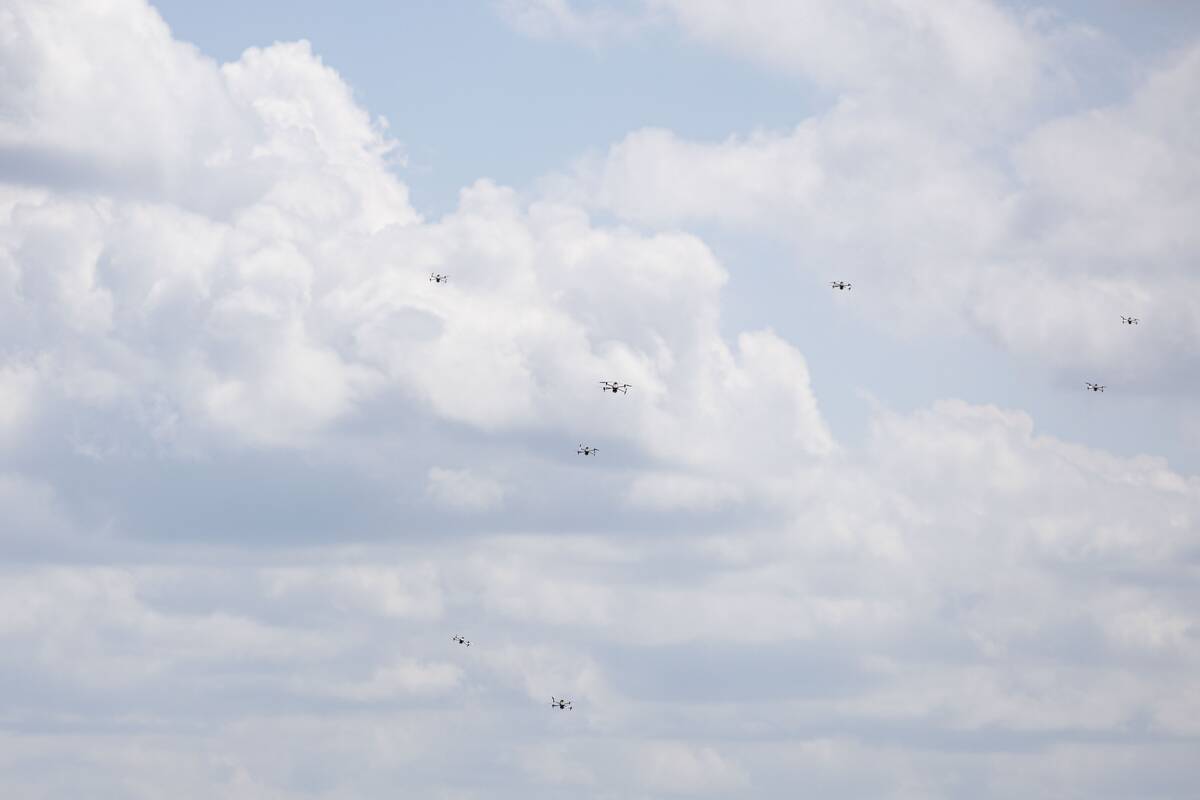 Tarptautinės pratybos „Laisvės skydas“