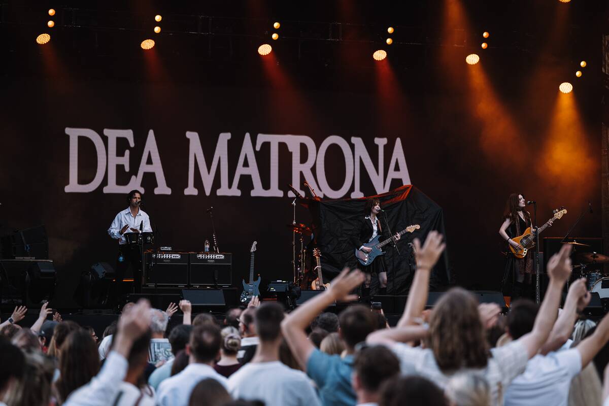 Stingo koncertas Kalnų parke