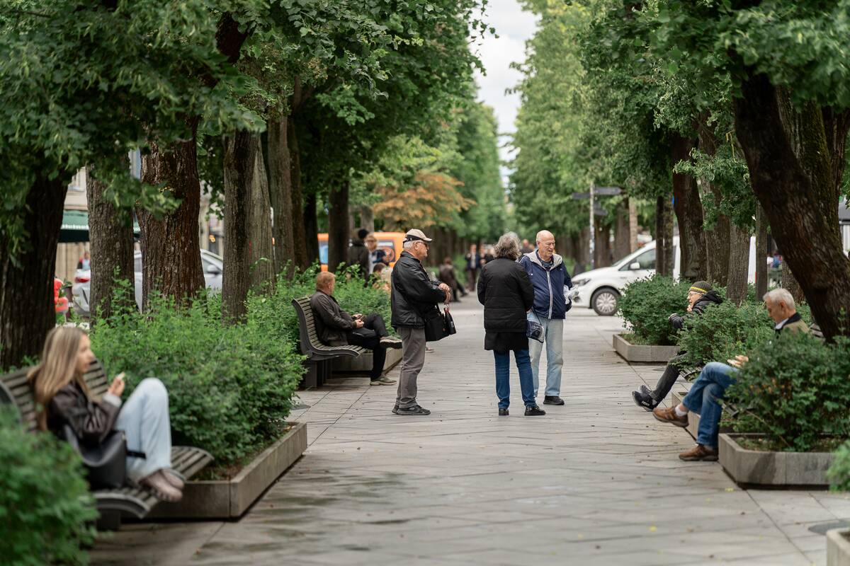 Kauniečių diena (2026-06-17)