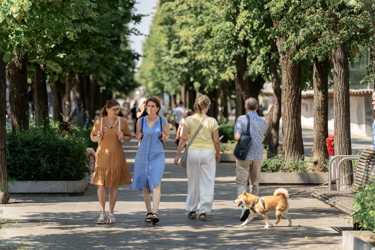 Kauniečių diena (2026-06-29)