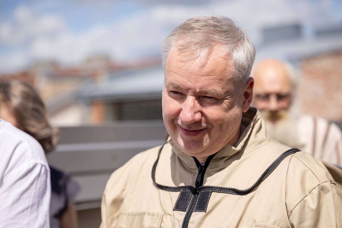 Ant Nacionalinis Kauno dramos teatro stogo įsikūrė „Dūzgiančių mūzų“  bitynas