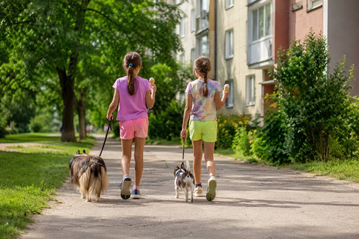 Veikla: vaikai, norėdami šiek tiek užsidirbti, siūlosi už simbolinį mokestį pavedžioti augintinius.