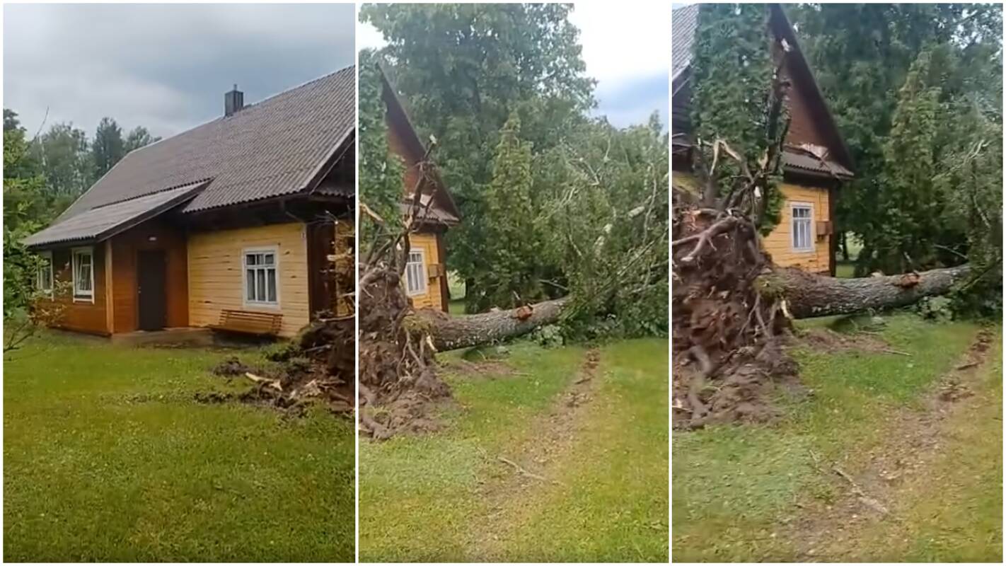 
<span>Jau fiksuoja audros pasekmes: Molėtų rajone – per plauką nuo nelaimės</span>
