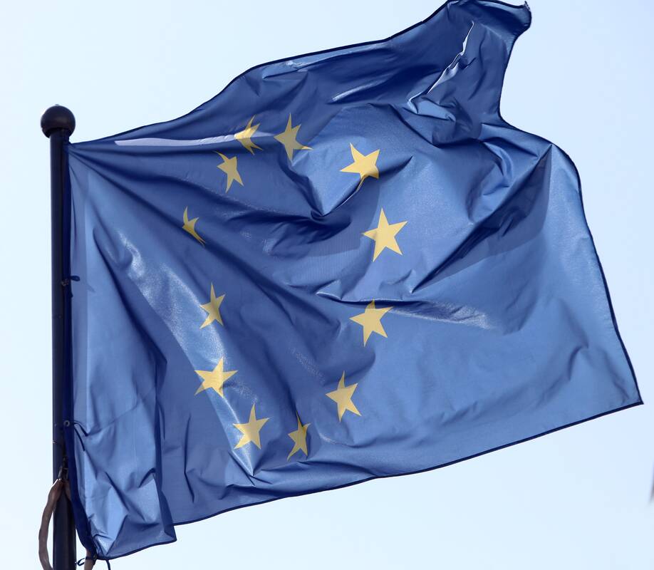 Europos sąjungos vėliava