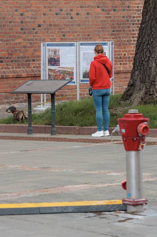 Kauniečių diena (2026-07-22)