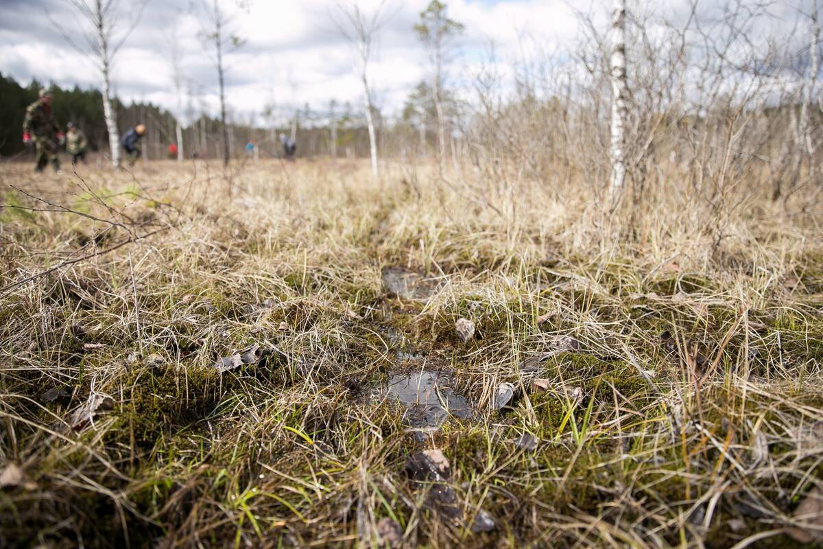 
<span>Apie laukuose gulintį žmogų pranešęs vyras nusprendė nesiartinti: atvykus tarnyboms – kraupi tiesa </span>
