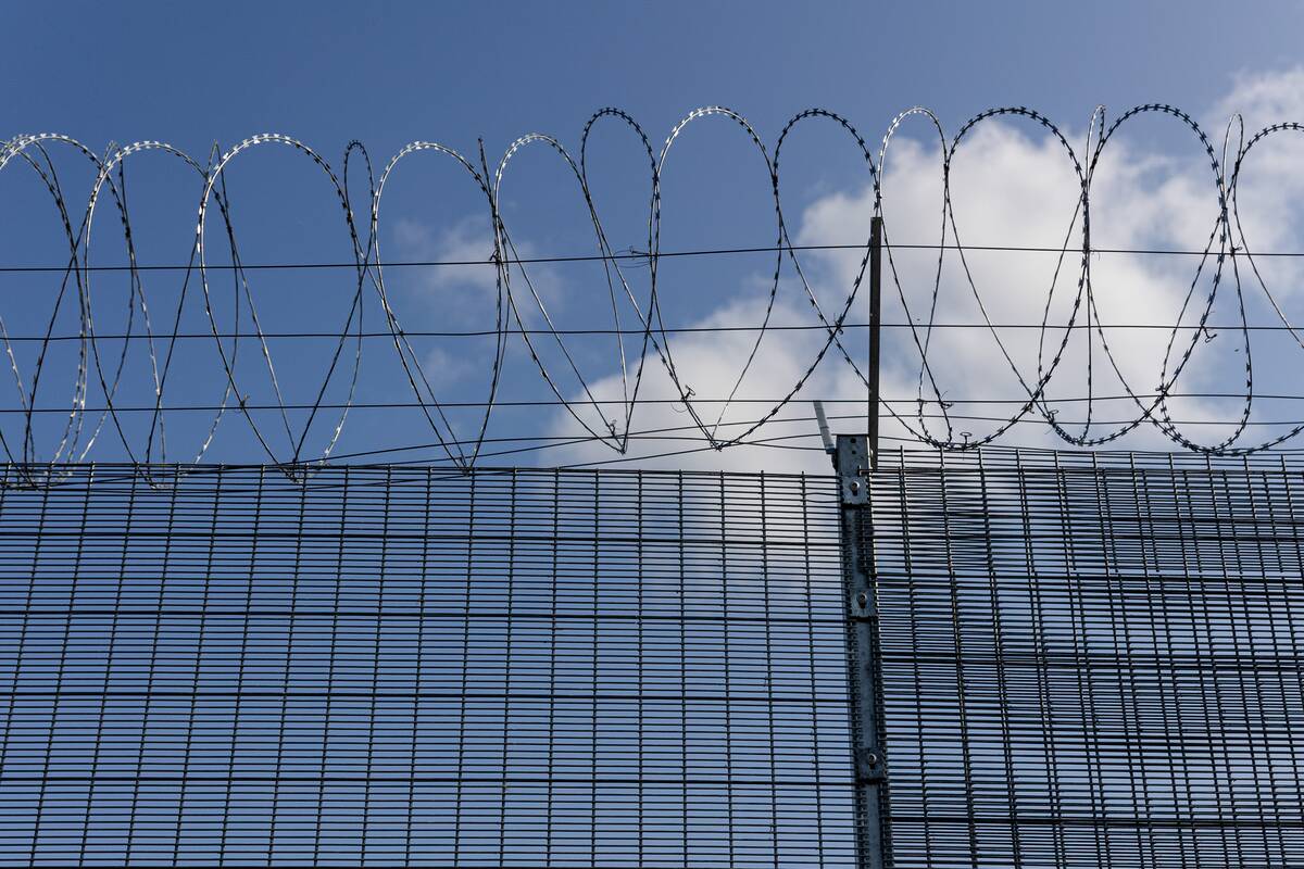 
<span>Pasienyje su Baltarusija apgręžta keturiolika neteisėtų migrantų</span>
