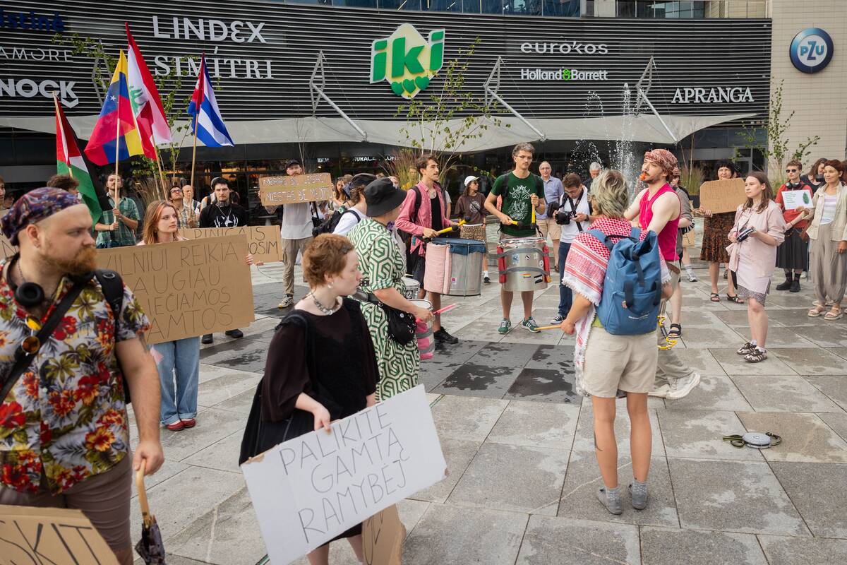 Vilniuje – protestas prieš planuojamą 327 medžių kirtimą ir gamtos niokojimą