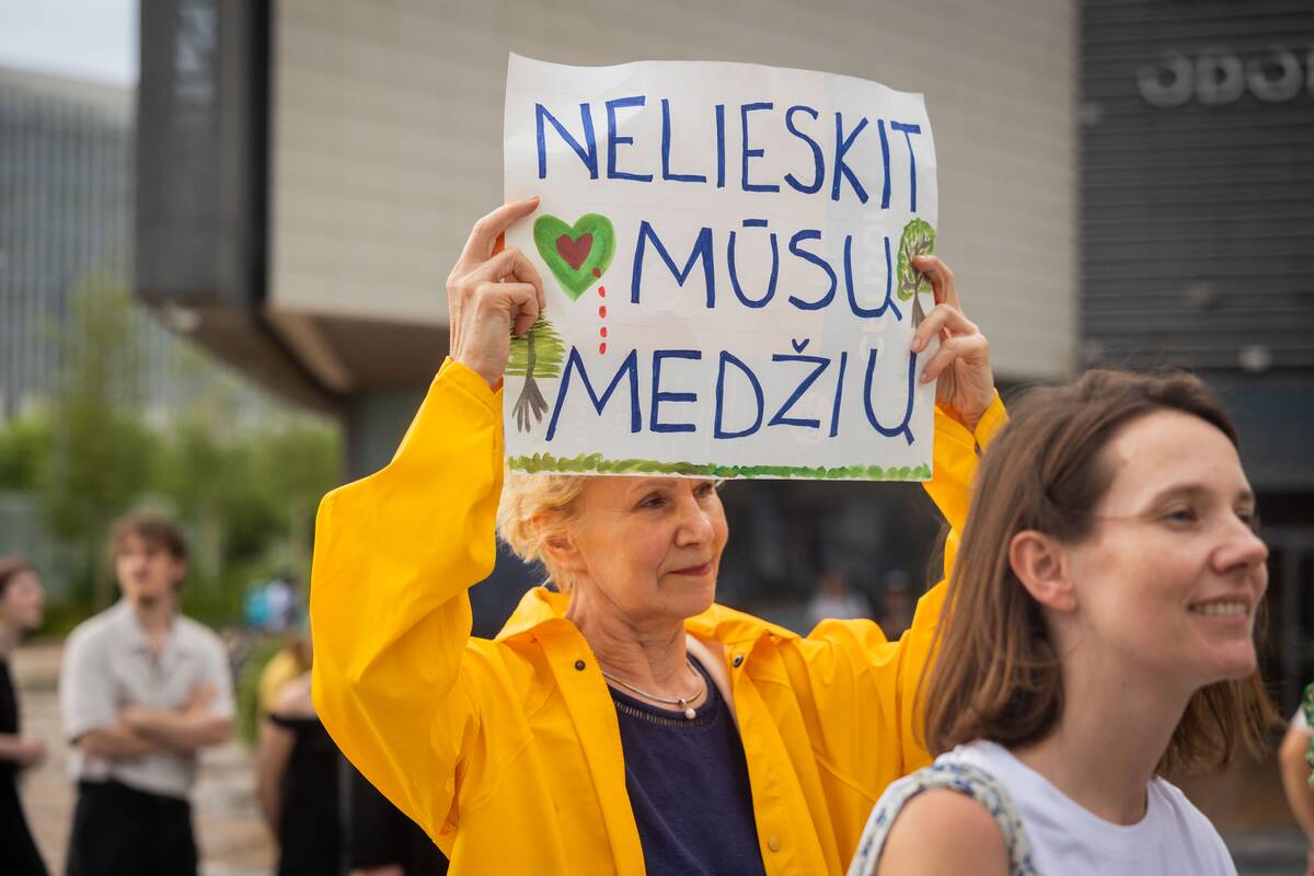 Vilniuje – protestas prieš planuojamą 327 medžių kirtimą ir gamtos niokojimą