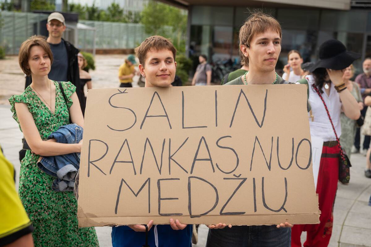 Vilniuje – protestas prieš planuojamą 327 medžių kirtimą ir gamtos niokojimą