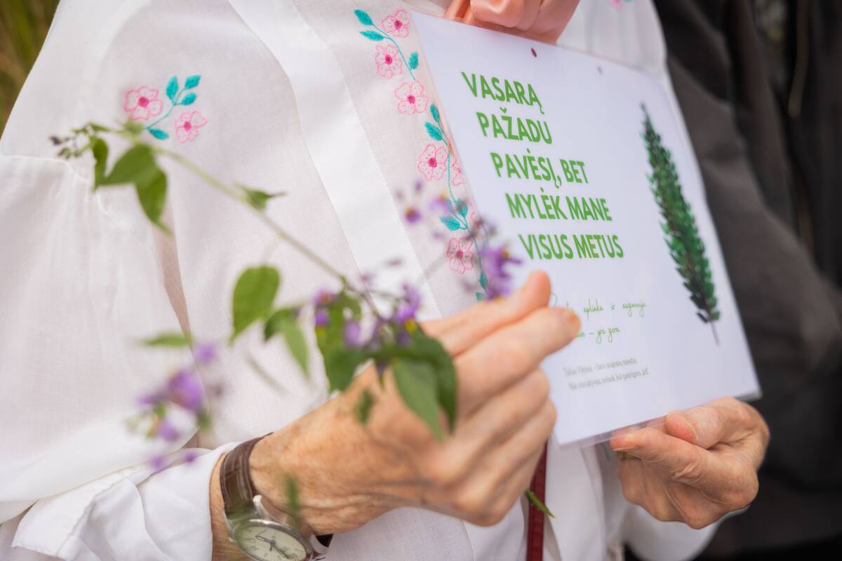 Vilniuje – protestas prieš planuojamą 327 medžių kirtimą ir gamtos niokojimą
