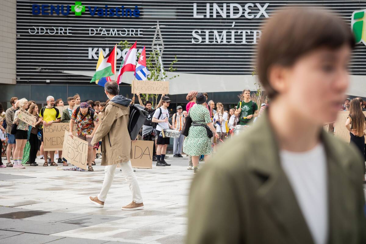 Vilniuje – protestas prieš planuojamą 327 medžių kirtimą ir gamtos niokojimą