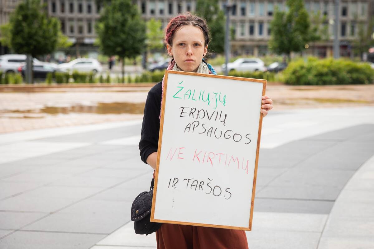 Vilniuje – protestas prieš planuojamą 327 medžių kirtimą ir gamtos niokojimą