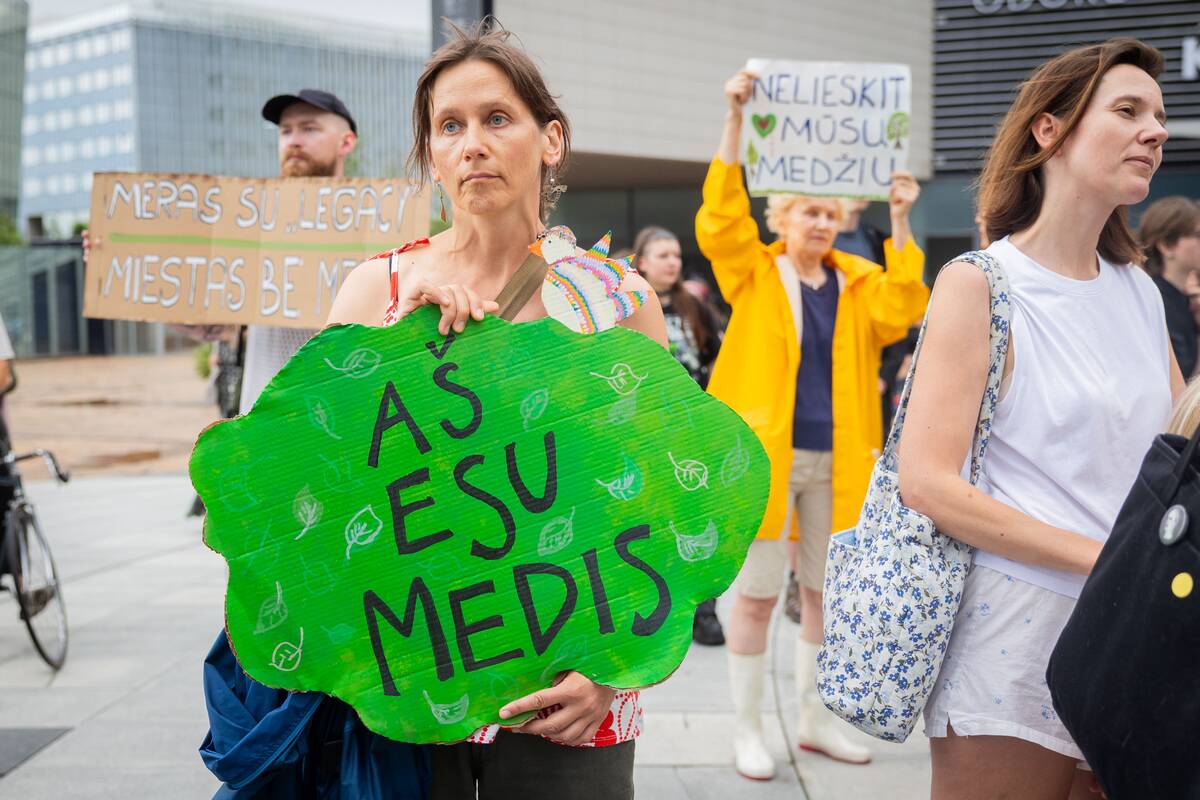 Vilniuje – protestas prieš planuojamą 327 medžių kirtimą ir gamtos niokojimą