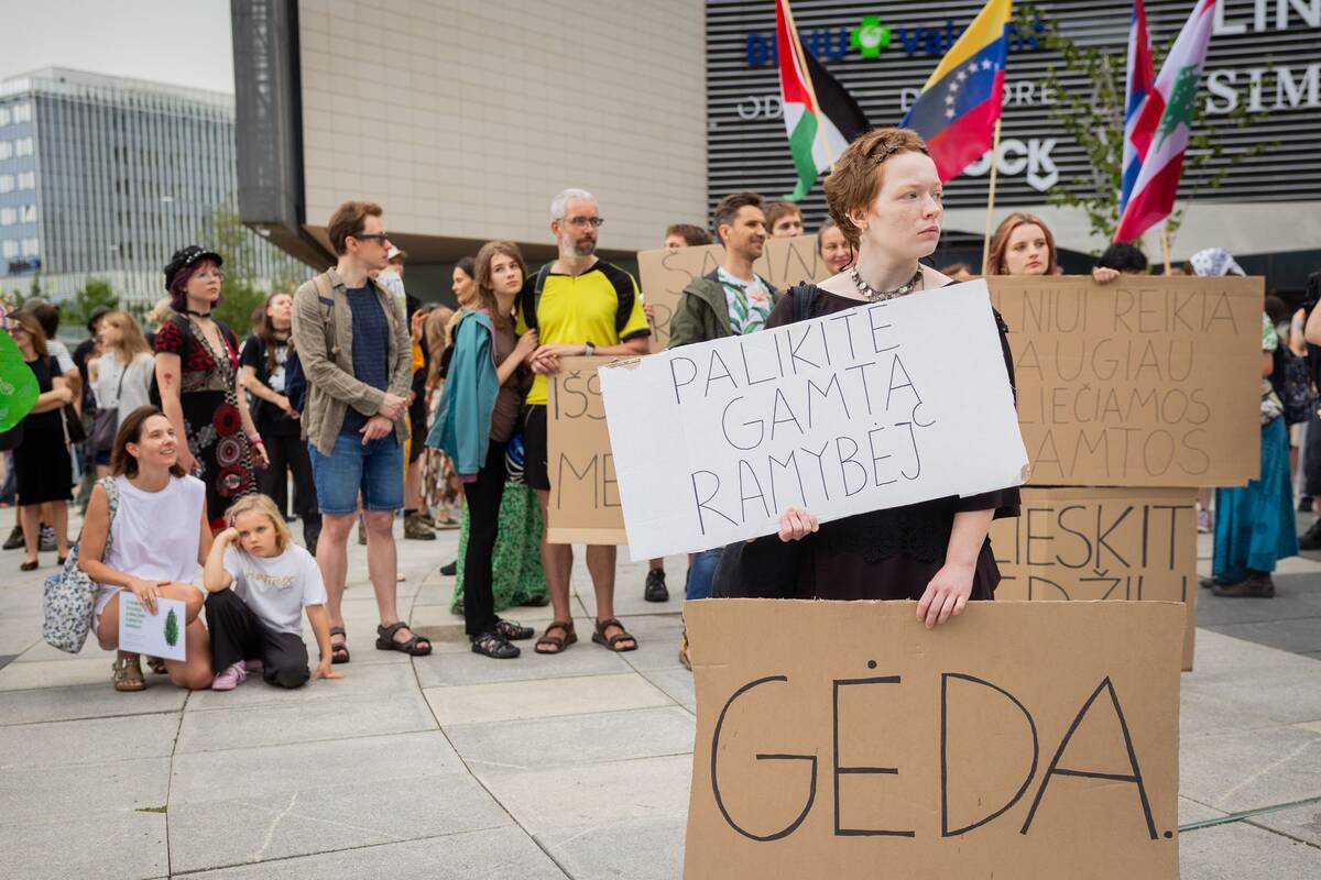 Vilniuje – protestas prieš planuojamą 327 medžių kirtimą ir gamtos niokojimą