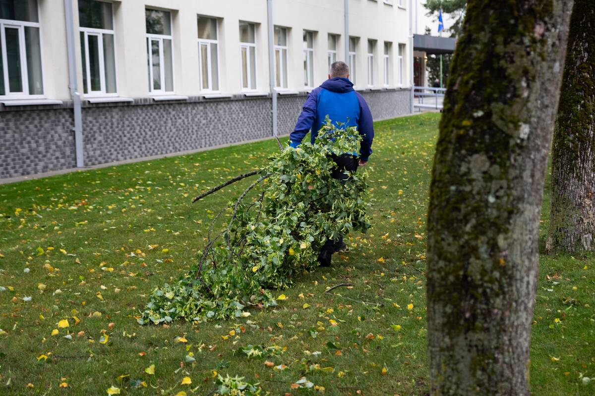 Audros padariniai Palangoje