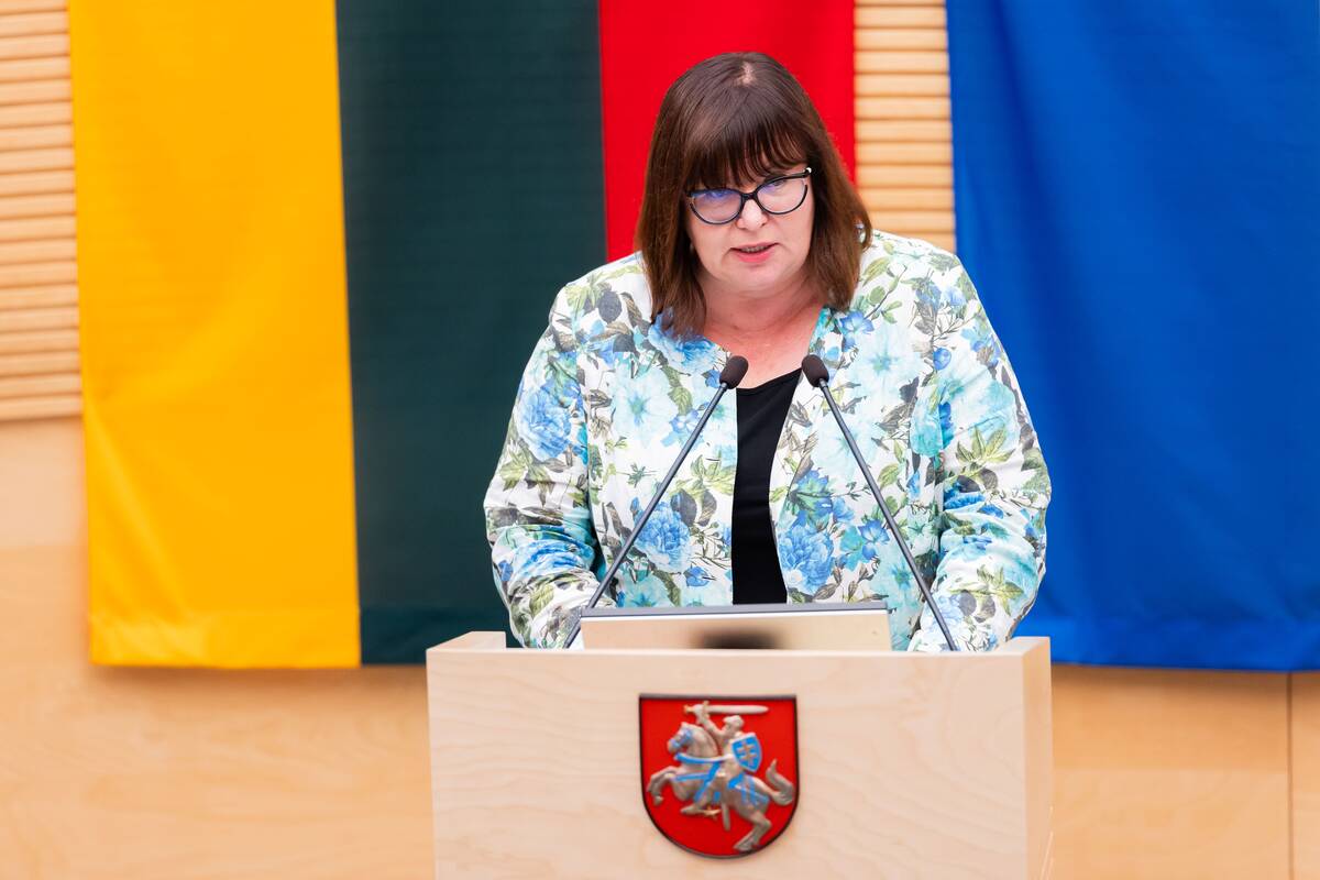 Seimas tvirtina XXI Vyriausybės programą