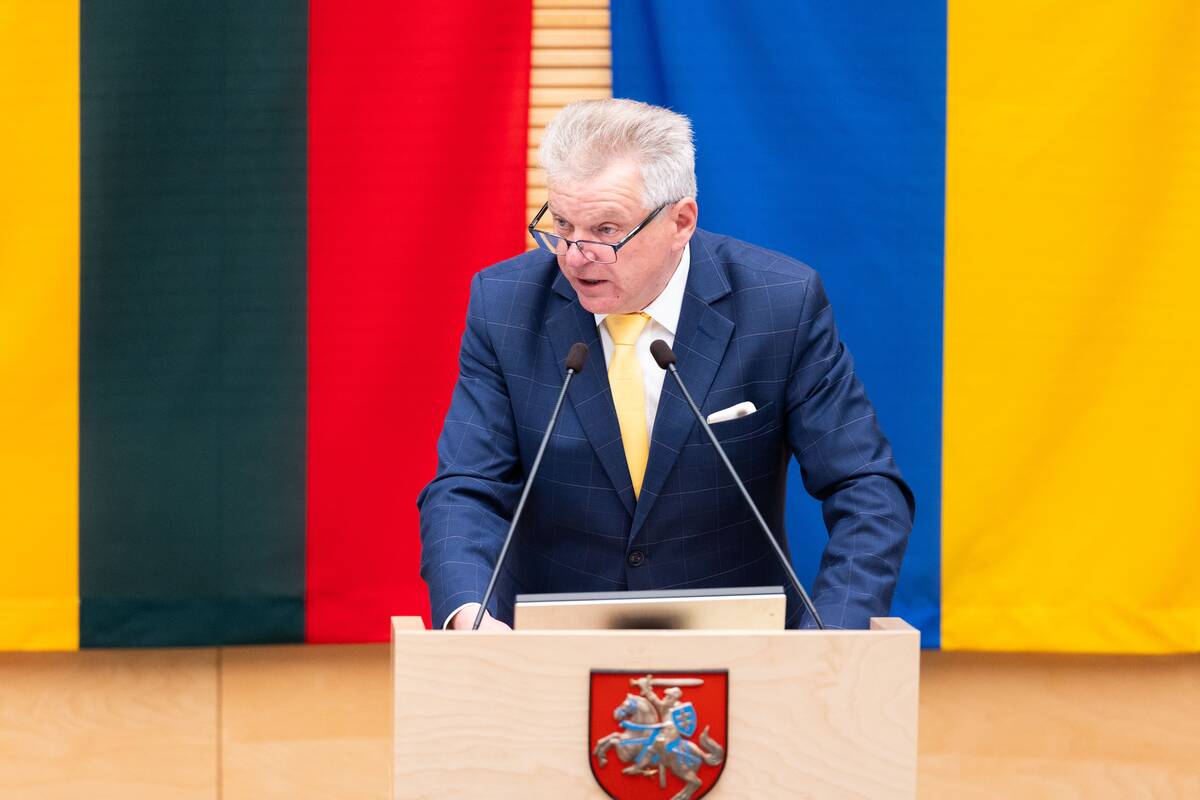 Seimas tvirtina XXI Vyriausybės programą