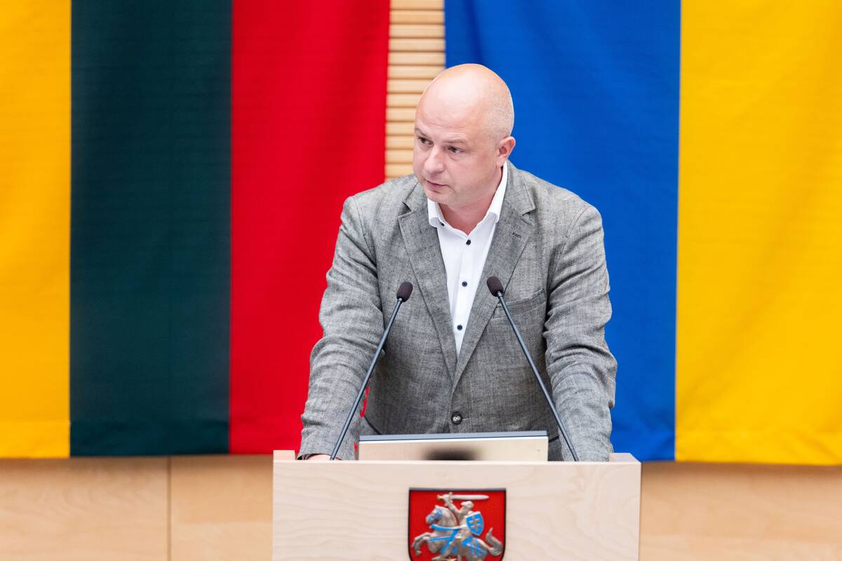 Seimas tvirtina XXI Vyriausybės programą