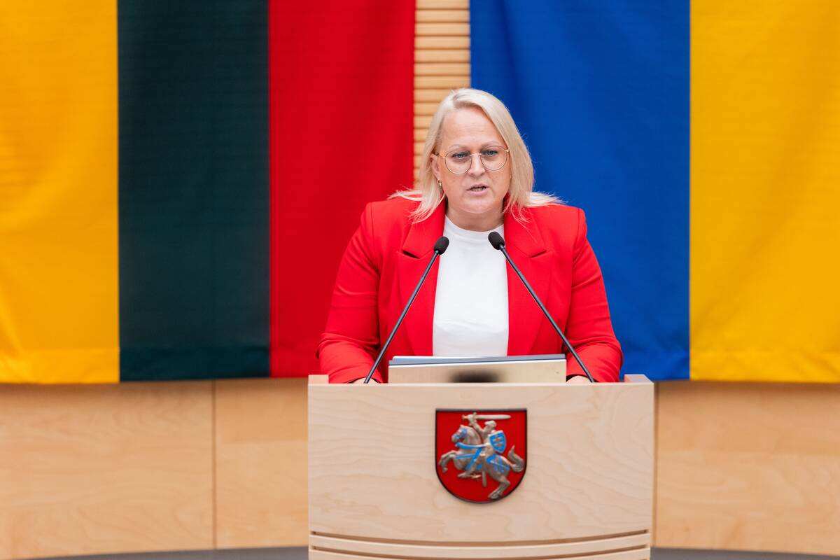 Seimas tvirtina XXI Vyriausybės programą