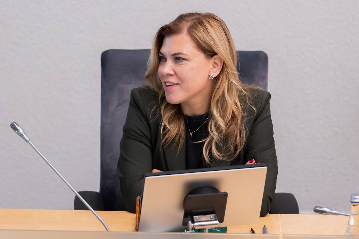Seimas tvirtina XXI Vyriausybės programą