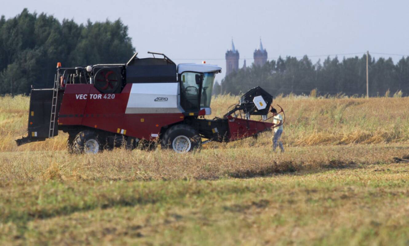 
<span>Prasidėjo žieminių miežių kūlimas: koks derlius?</span>

