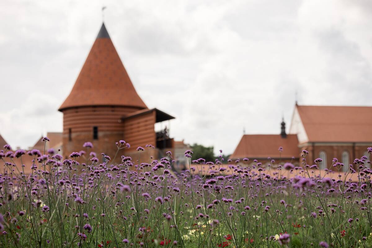 Kauniečių diena (2026-07-23)