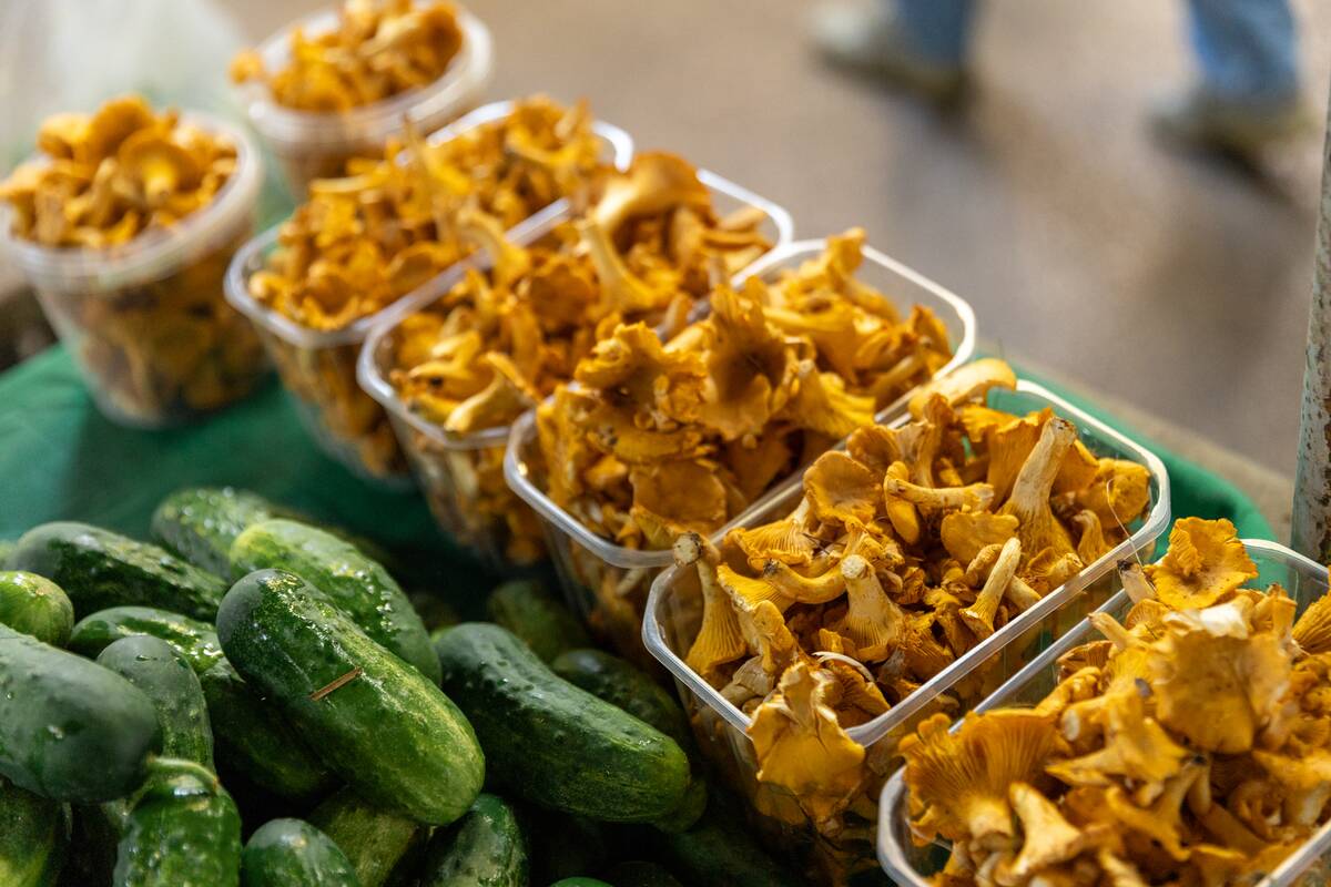 Miško gėrybės turguose