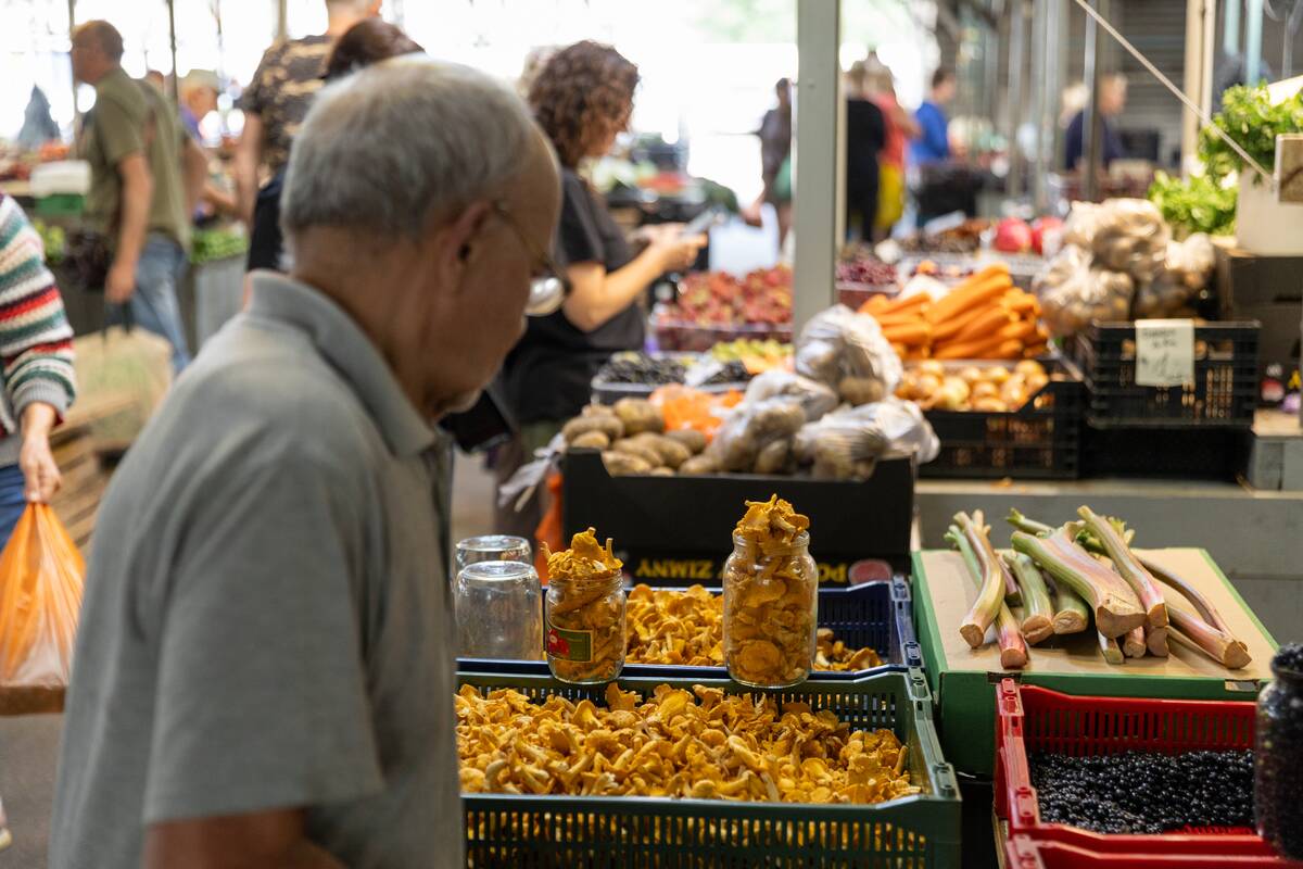 Miško gėrybės turguose