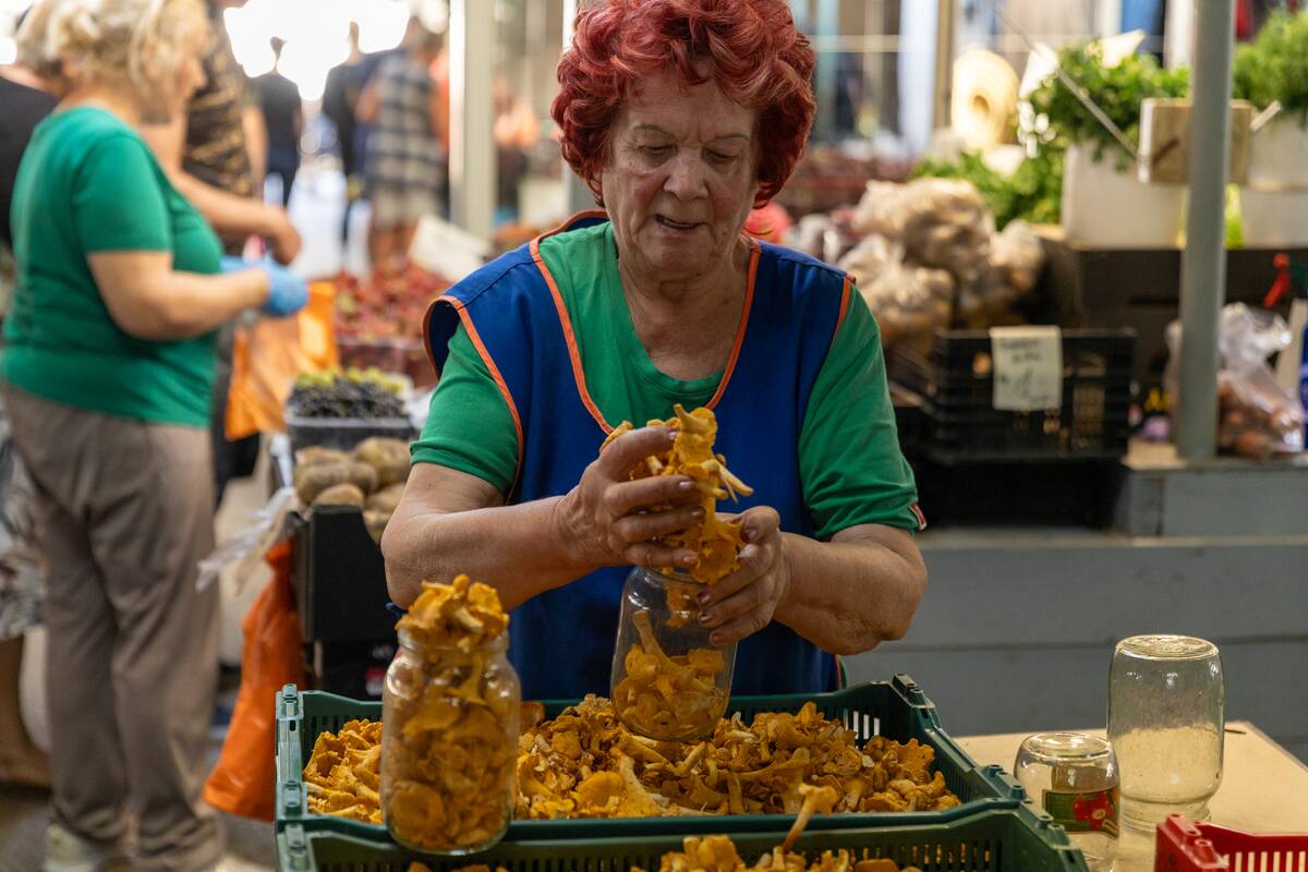 Miško gėrybės turguose