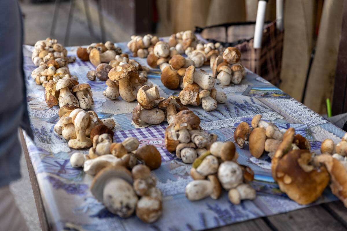 Miško gėrybės turguose