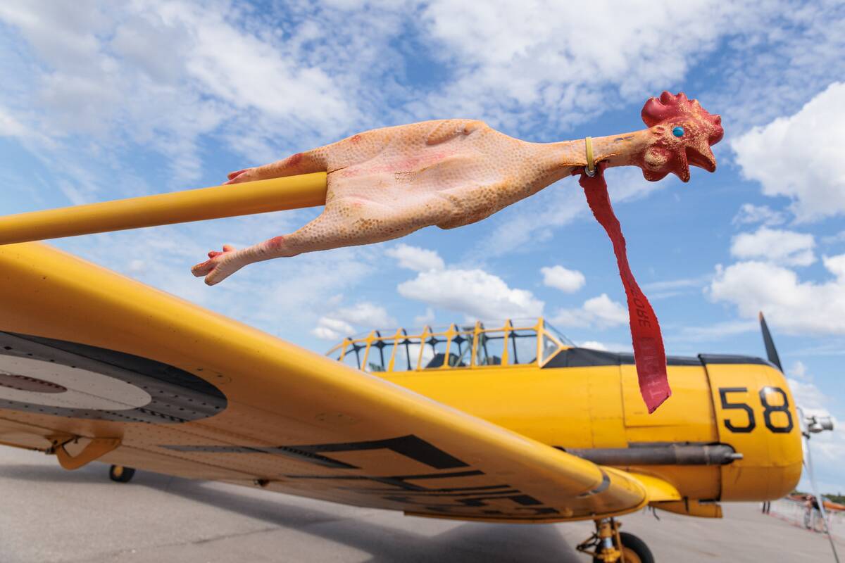 Aviacijos šventė 2026